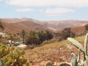 Des vacances à Fuerteventura : on valide ou pas ?