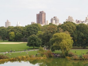 De Central Park à la high line : le Green New York