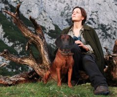 Les accents de vérité : le cas du mur invisible